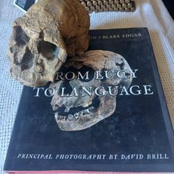 Book And Skull