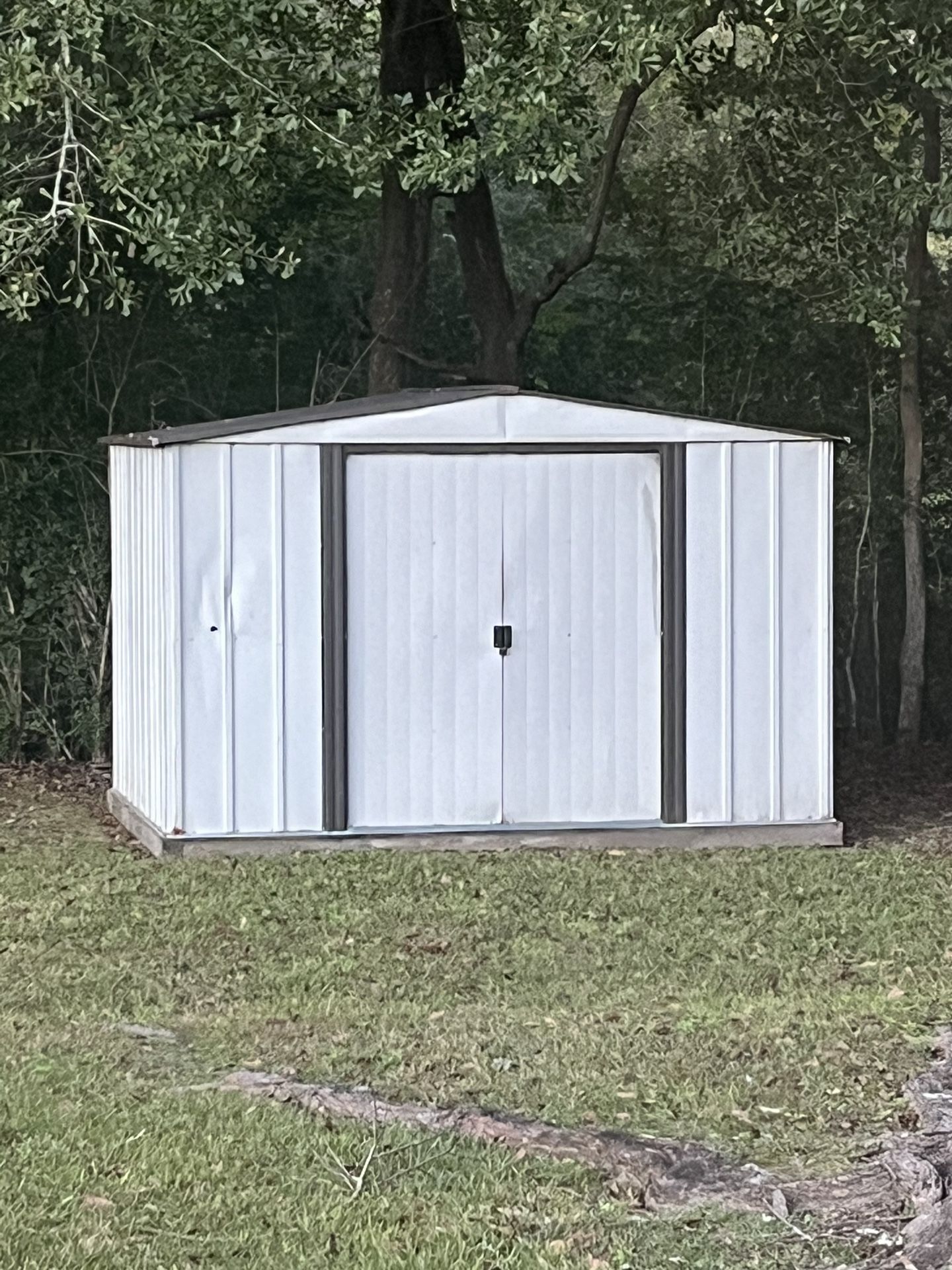 Shed