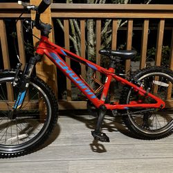 Schwinn Signature Boys' Thrasher 20'' Mountain Bike