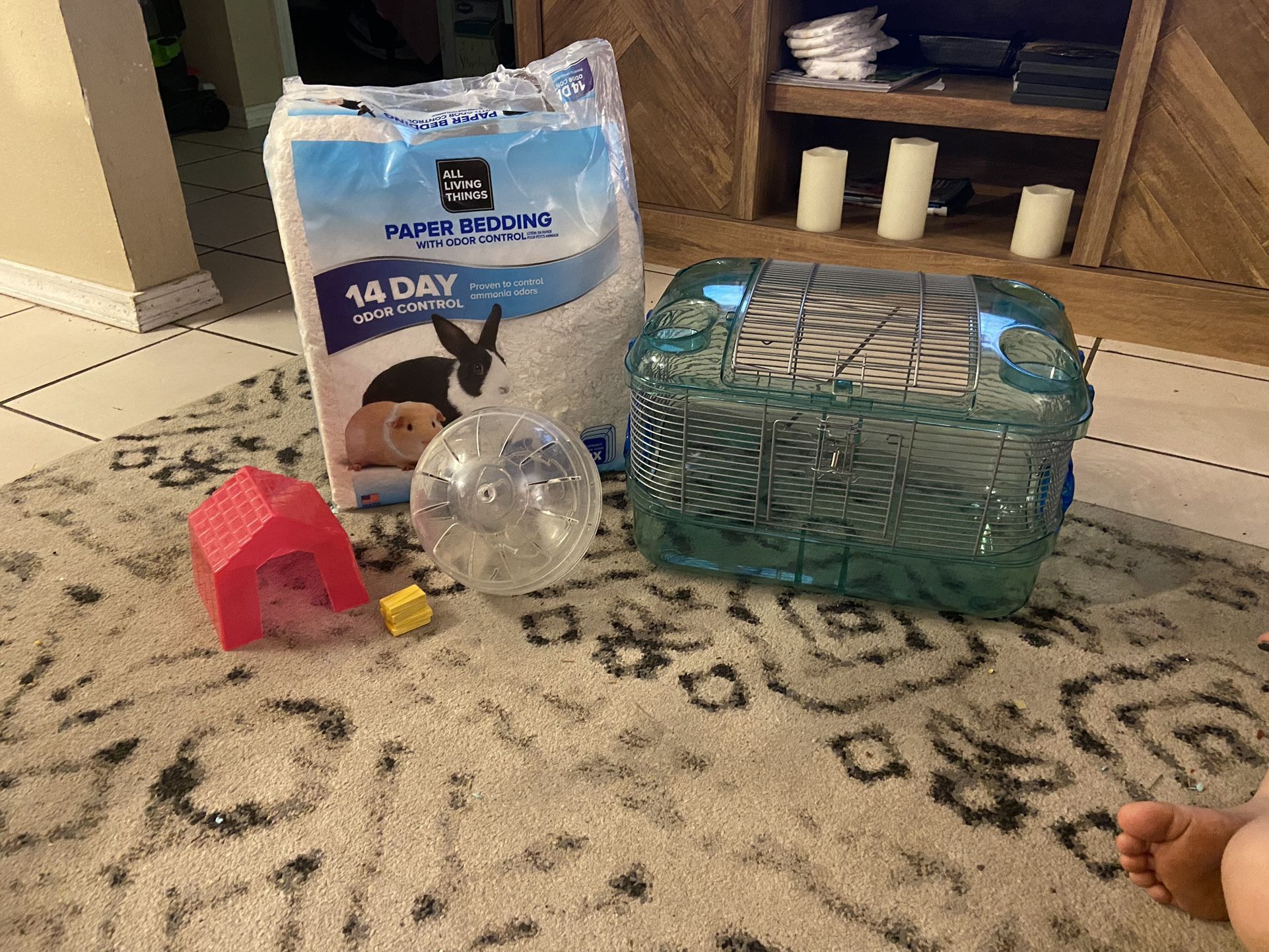 Hamster Cage & Accessories