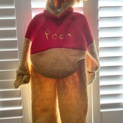 Winnie The Pooh Costume 
