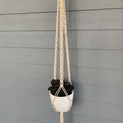 Macrame Plant Hanger