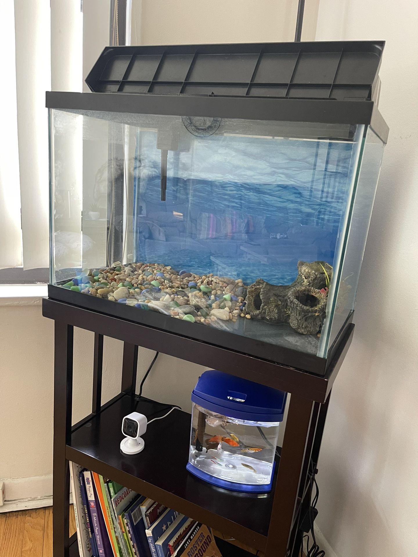 Fish Tank With Stand ++ Aquarium