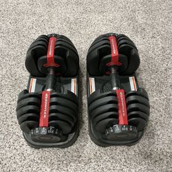 Bowflex Adjustable Dumbbells 