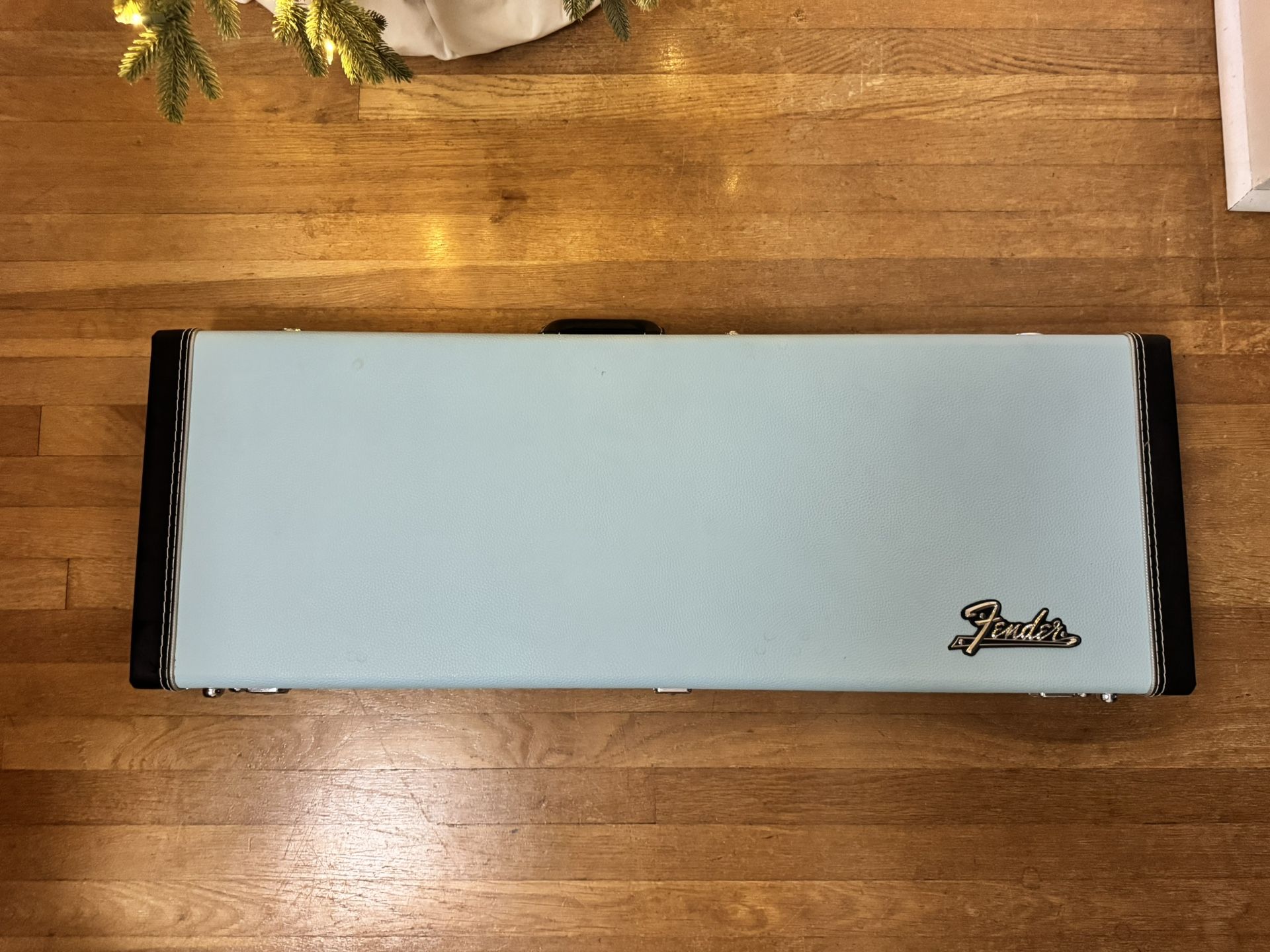 Fender Strat/Tele Guitar Hard Case