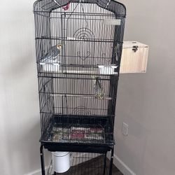 Bird Cage 