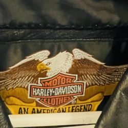 Harley Davidson Jacket & Chaps