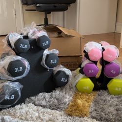 Dumbbells Set With Rack