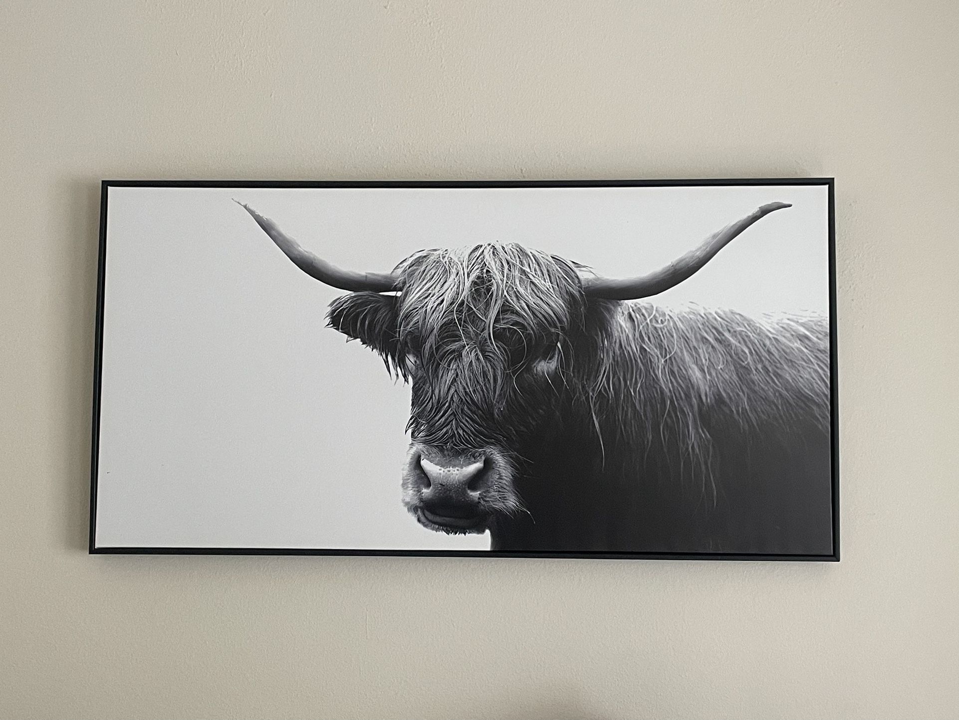 Bull Photo Wall Decor