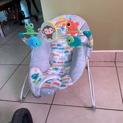 Baby Bouncer