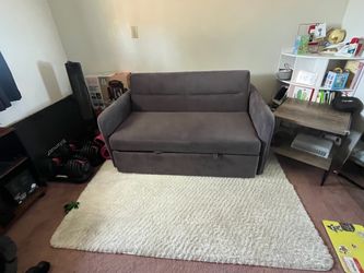 Pull-Out Sleeper Sofa / Loveseat