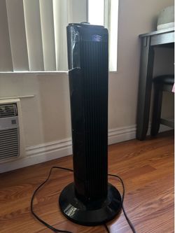 Fan
