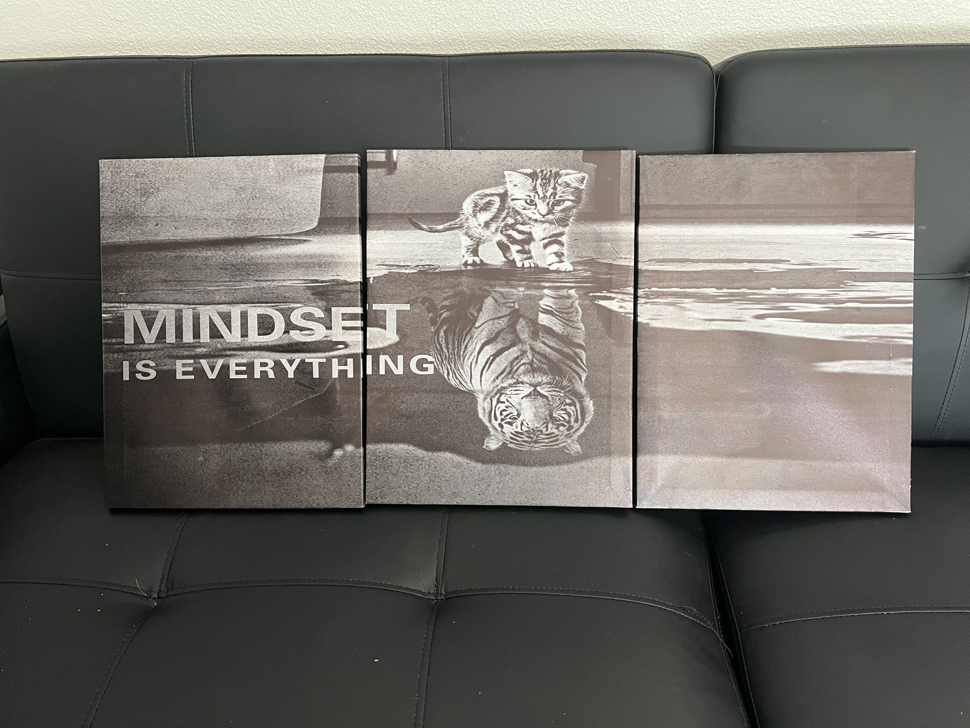 Mindset canvass