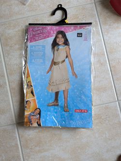 Disney Princess Costumes