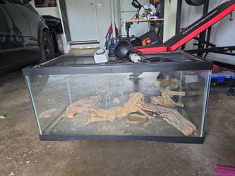 Reptile / animal enclosure