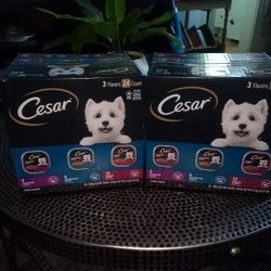 Cesar Dog Food