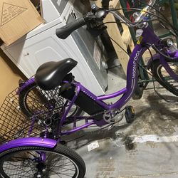 Electric Bike 