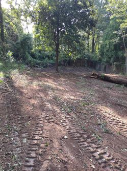 Land Clearing/Skid Steer/ Bobcat 