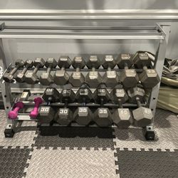 Dumbbell Set With rack. 
