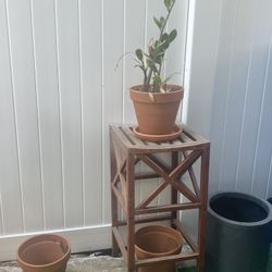 Just A Wooden Stool