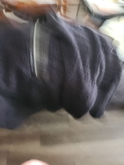 Black sweater