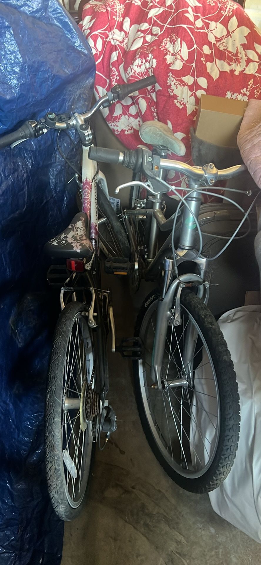 Girls Bike Giants & Specialized $50 Each