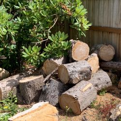 Free Firewood