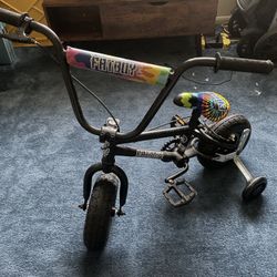 BMX Fat Boy