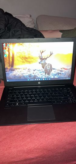 HP Stream 14