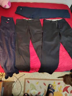 Dickies pants