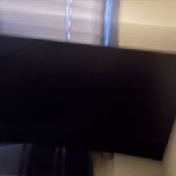 Computer Monitor 