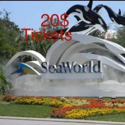 Seaworld 