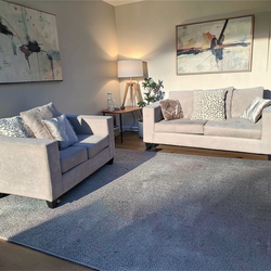 Nice Couch & Loveseat! Free delivery!