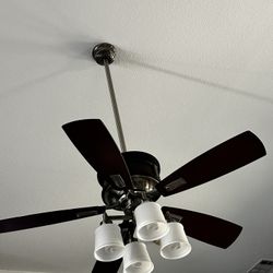 Ceiling Fan 
