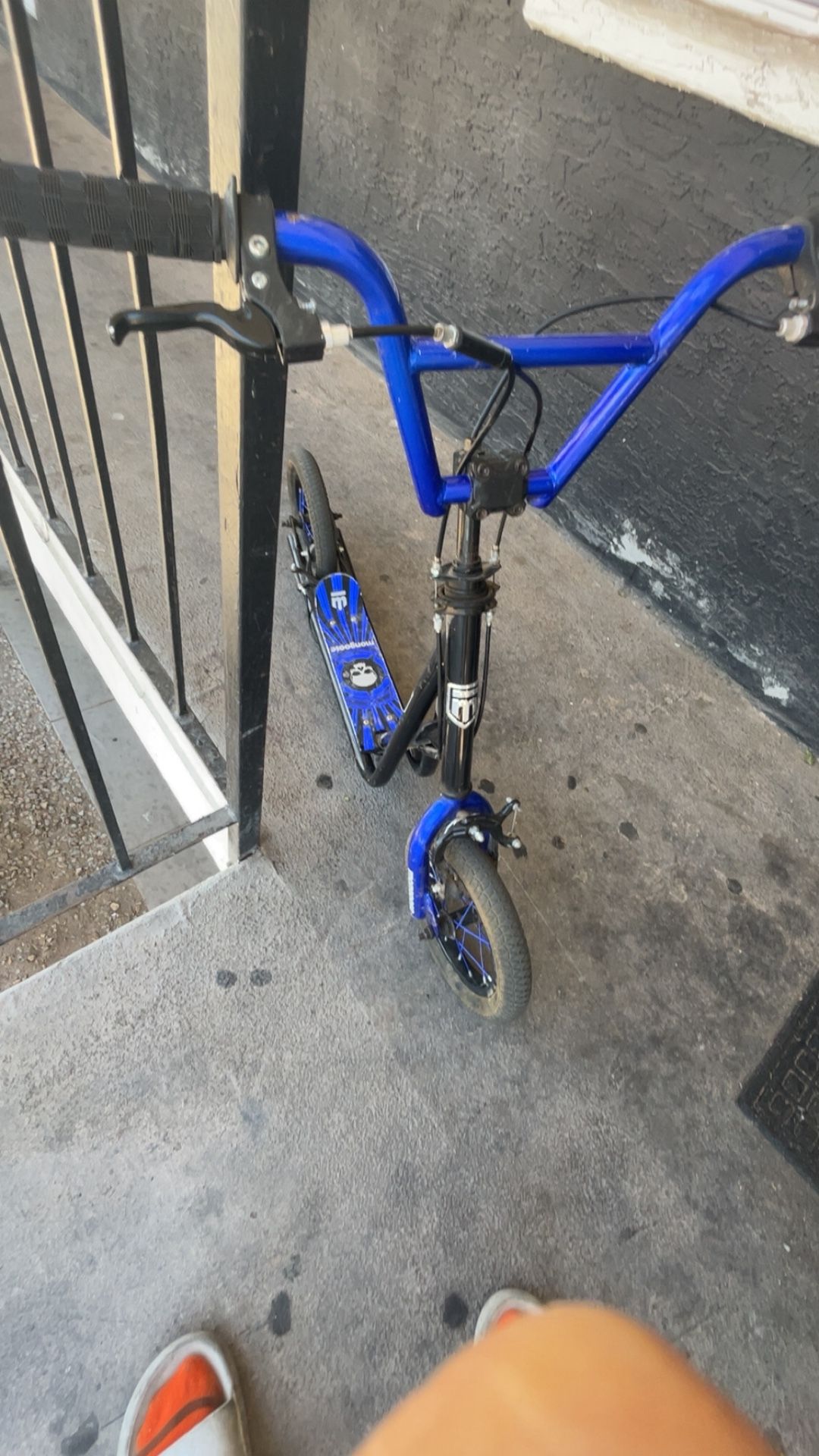 Mongoose