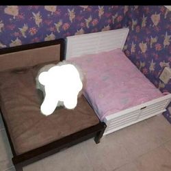 Small pet beds.. cats and small dogs...n