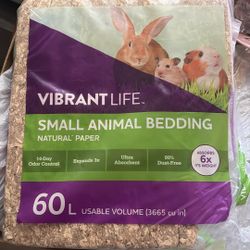 Guinea pigs accessories