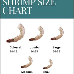 Shrimp