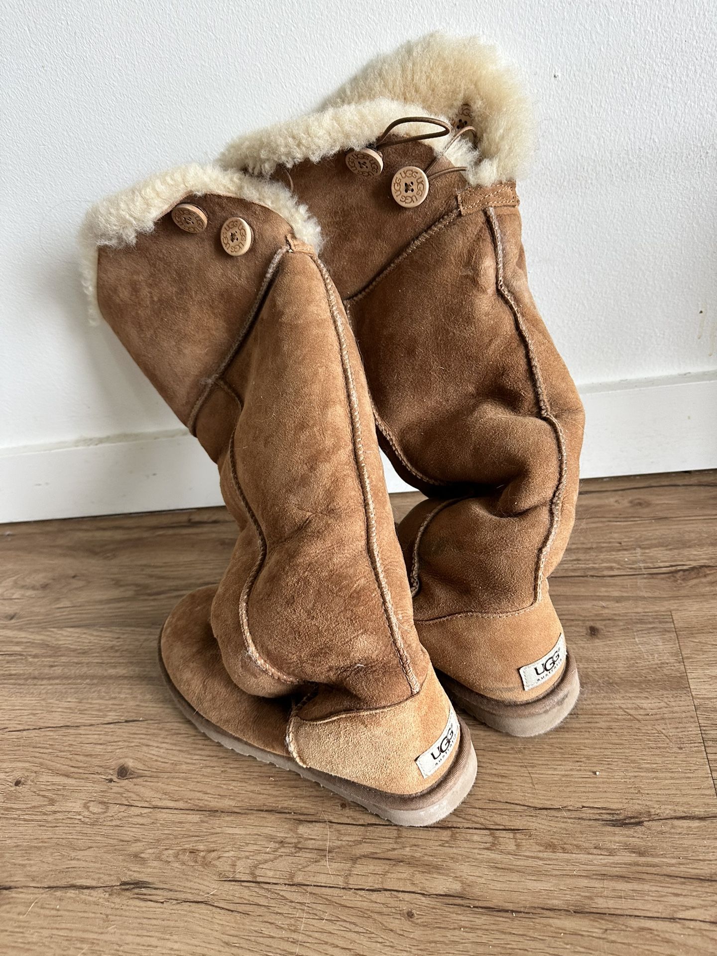 Ugs Boots 
