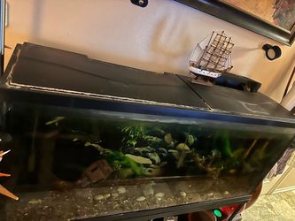 55 gal Aquarium w/ metal stand