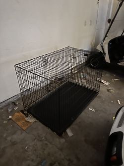 Dog kennel