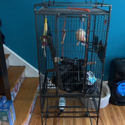 Bird Cage 