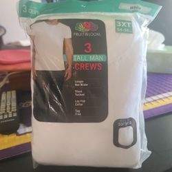 NEW 3 Mens Tall Crews T Shirts