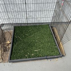 Dog Potty Box