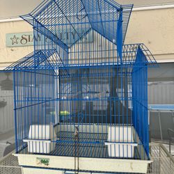 Bird Cage