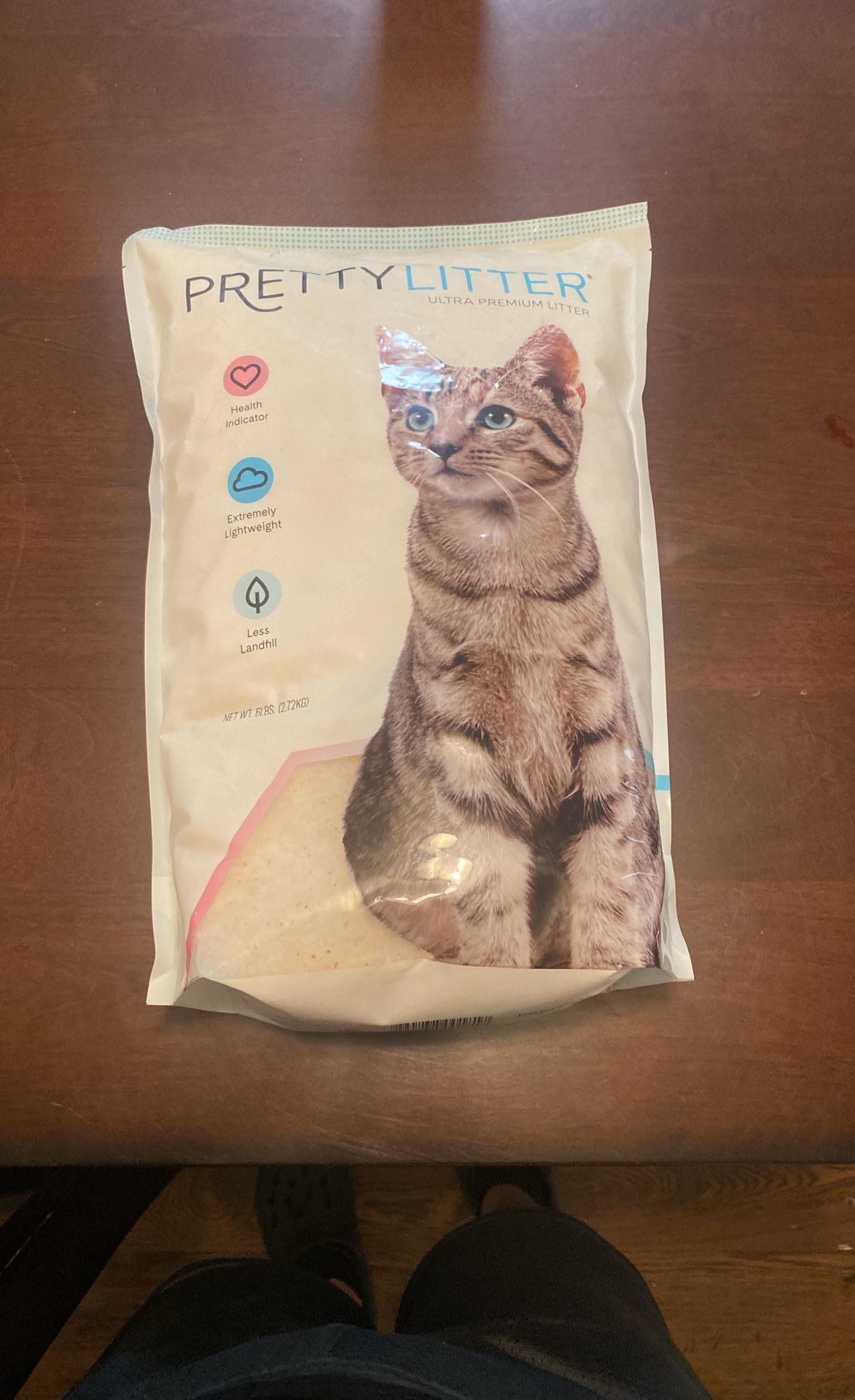 Cat Sand 