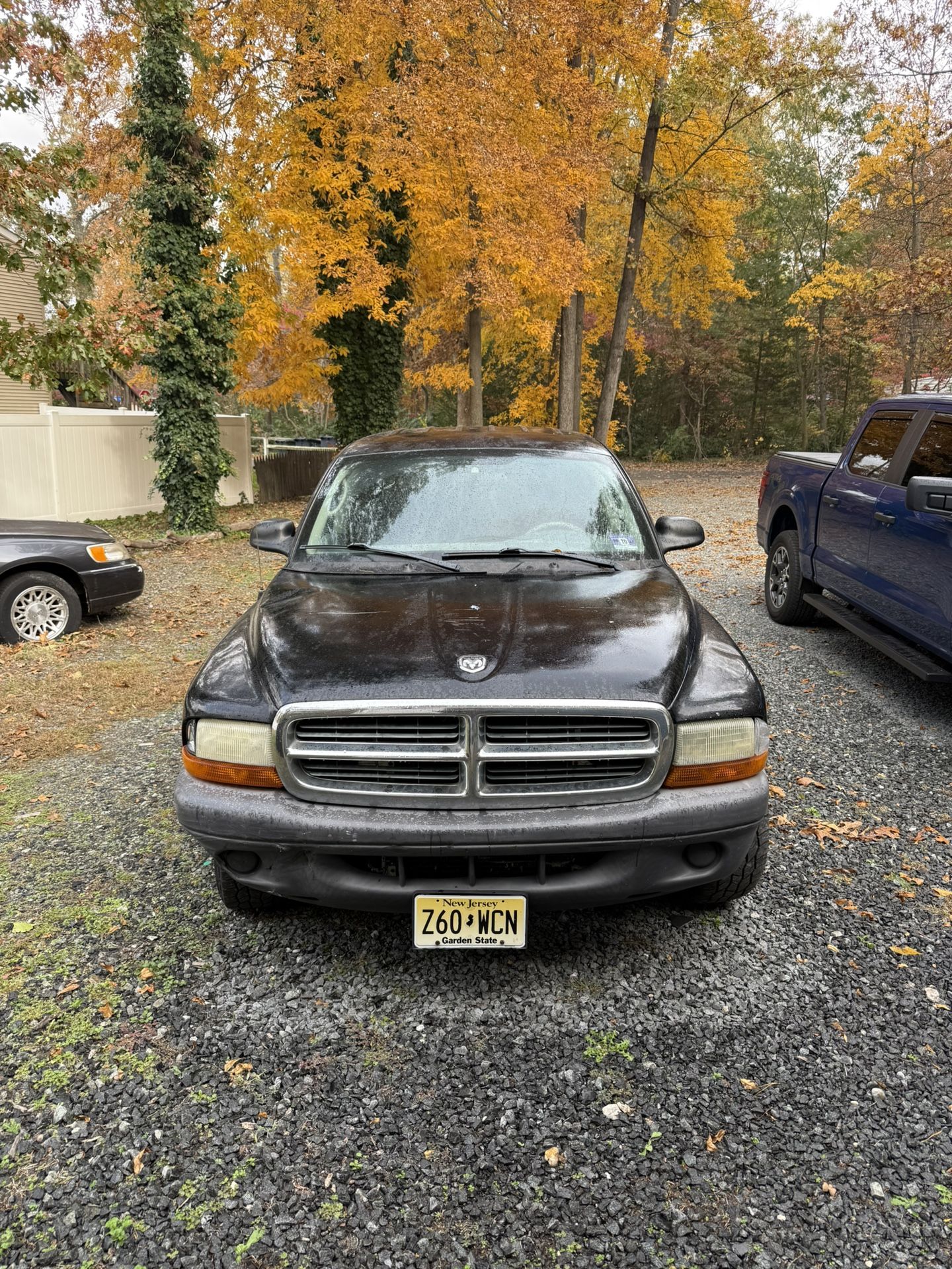 2004 Dodge Dakota