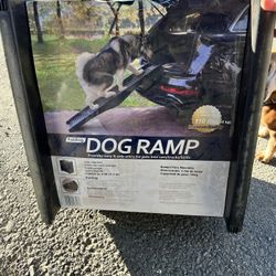 Folding Dog Ramp