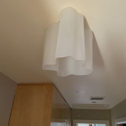 Tulip Ceiling Light