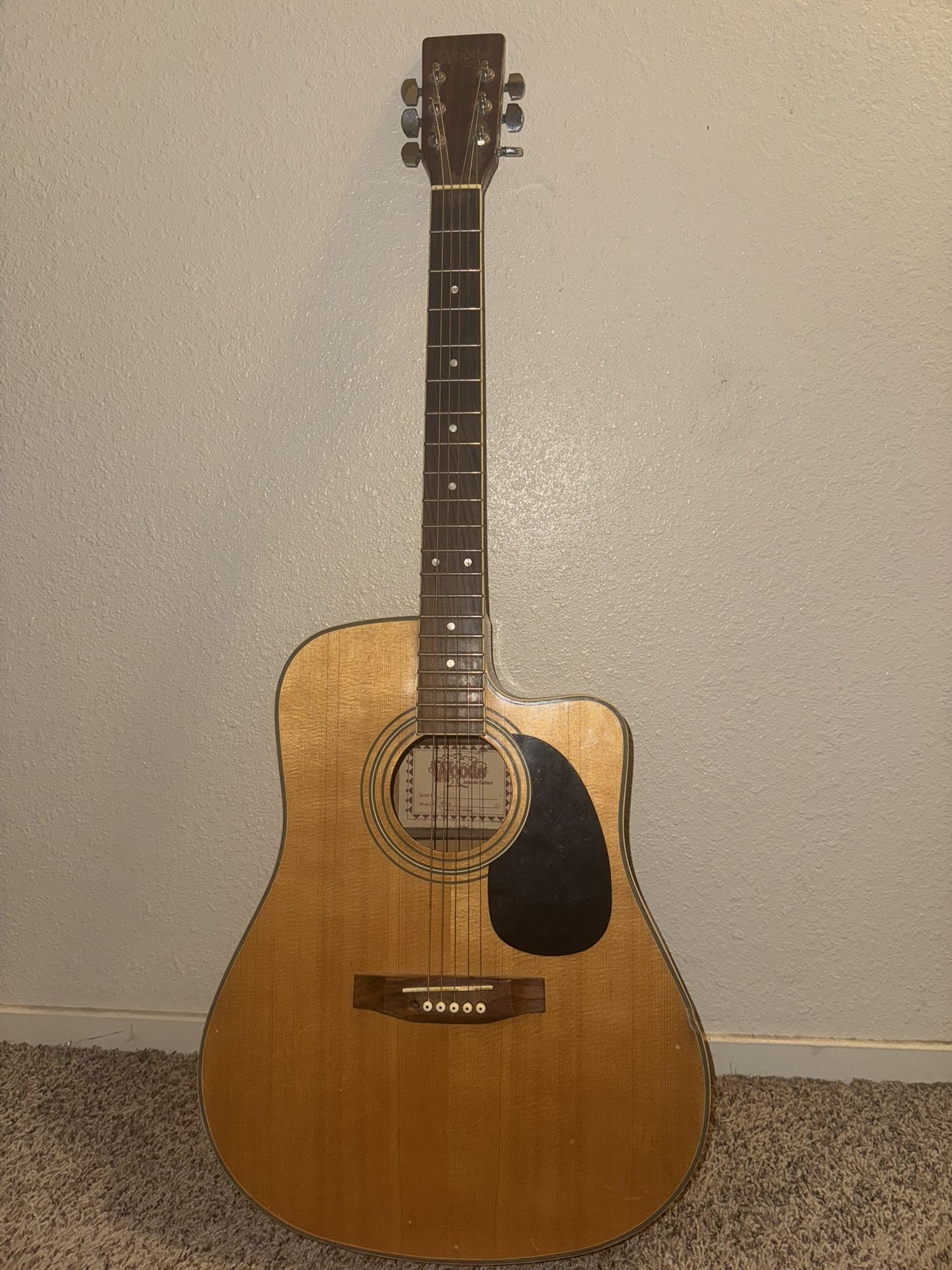 WOODS acoustic electric guitar